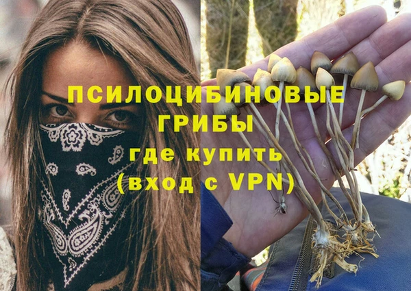 хмурый Алзамай
