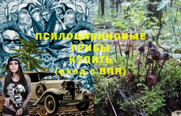 хмурый Алзамай