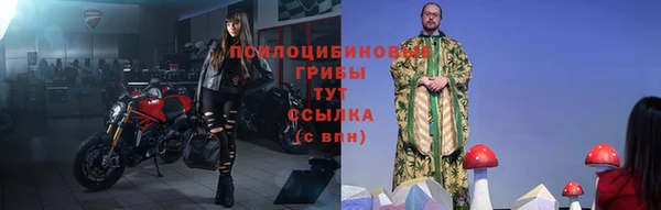 хмурый Алзамай