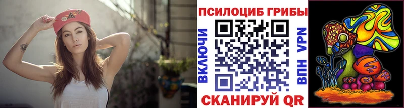 Псилоцибиновые грибы MAGIC MUSHROOMS  блэк спрут сайт  Артём 